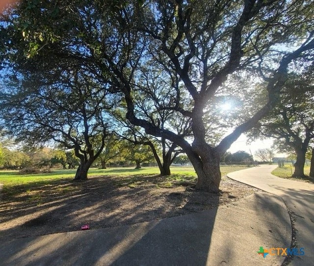 627 County Road 3376, Kempner, TX 76539 - photo 29