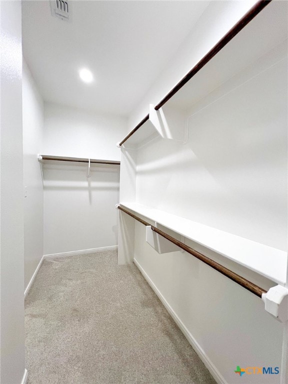 spacious closet with light carpet