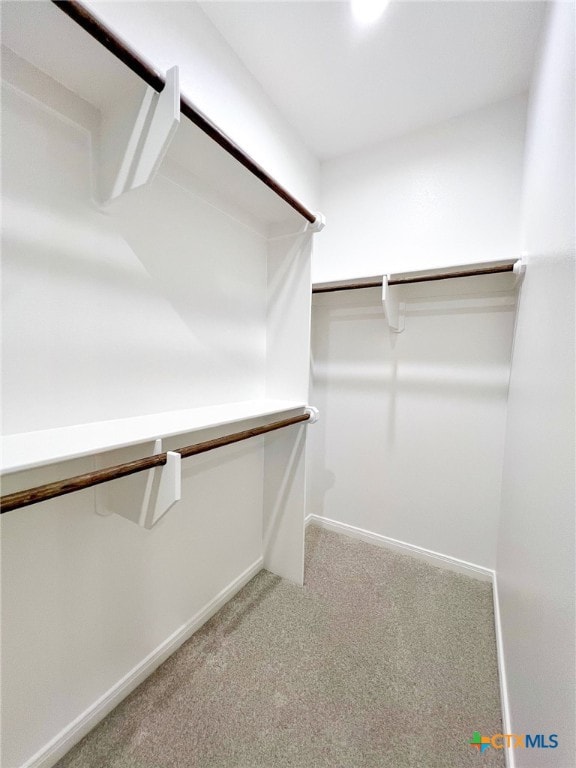 spacious closet with carpet flooring