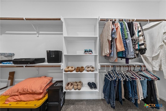 7109 Hammermill Ln, Temple, TX 76502 - walk in closet with carpet floors