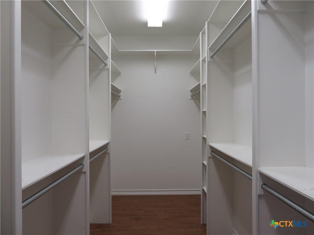 walk in closet with dark hardwood / wood-style flooring