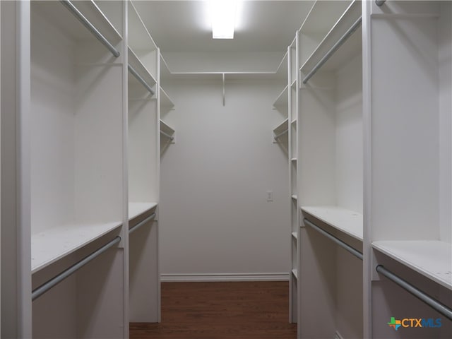 walk in closet featuring dark hardwood / wood-style floors