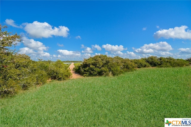 view of nature