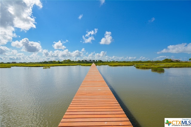 dock area with a water view