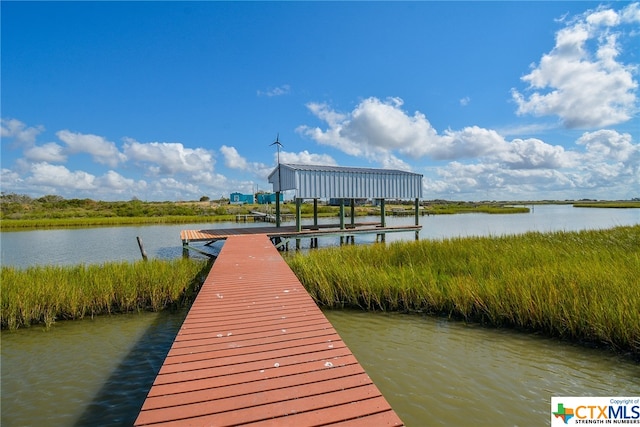 dock area with a water view