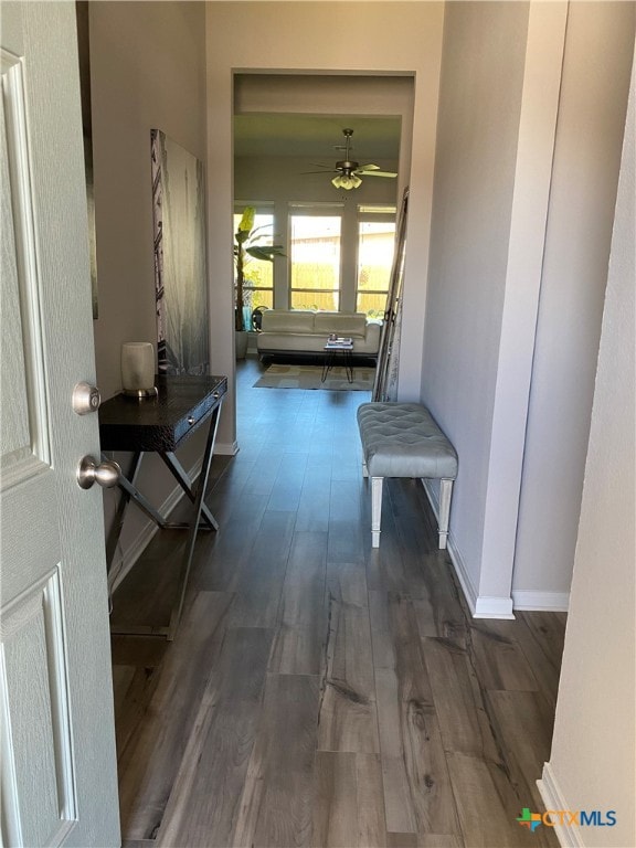 hallway featuring dark wood-type flooring