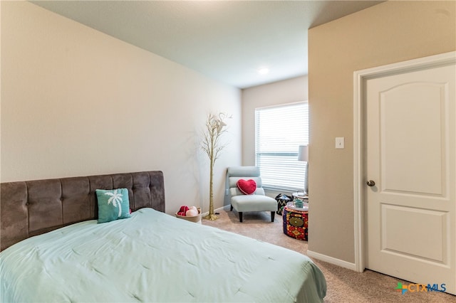 bedroom with carpet flooring