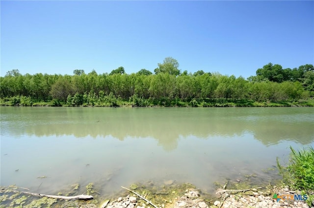 water view featuring a wooded view