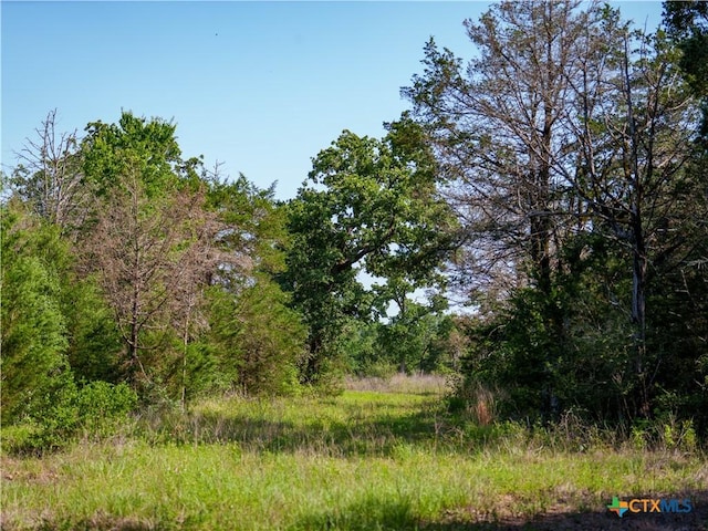 1050 Fm2104, Smithville, TX 78957
