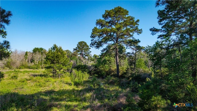 1050 Fm2104, Smithville, TX 78957