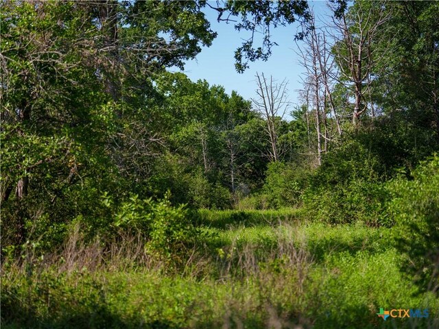 1050 Fm2104, Smithville, TX 78957