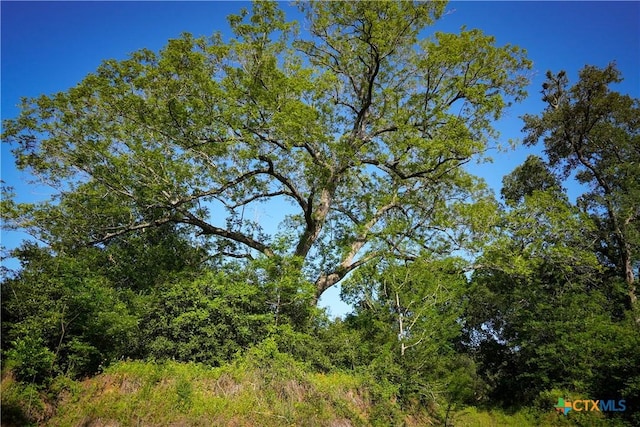 1050 Fm2104, Smithville, TX 78957