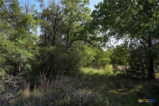1050 Fm2104, Smithville, TX 78957