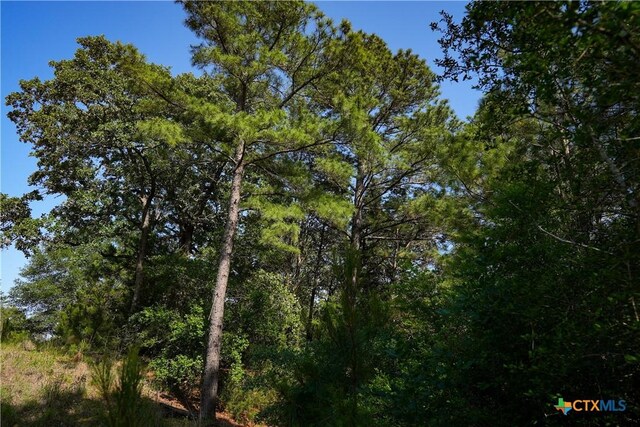 1050 Fm2104, Smithville, TX 78957