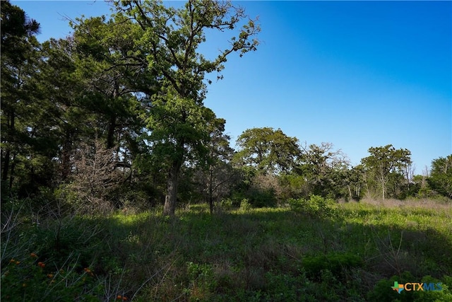 1050 Fm2104, Smithville, TX 78957