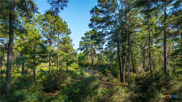 1050 Fm2104, Smithville, TX 78957
