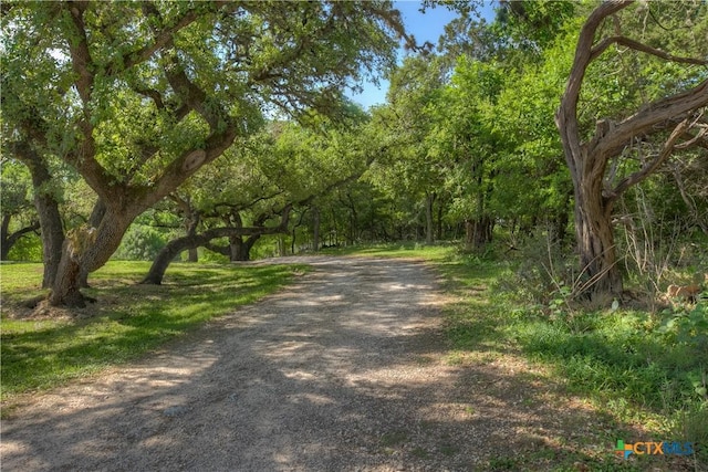 1390 Ervendberg Ave, New Braunfels, TX 78130 - photo 7