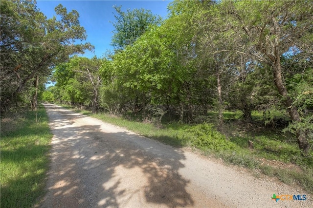 1390 Ervendberg Ave, New Braunfels, TX 78130 - photo 9