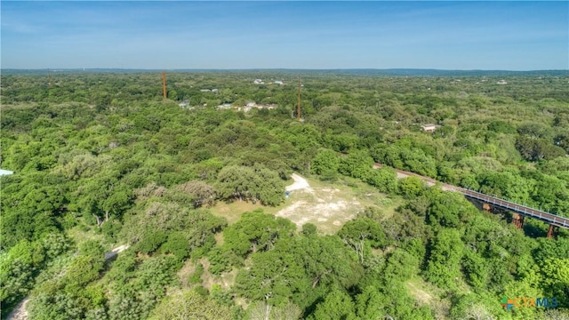 1390 Ervendberg Ave, New Braunfels, TX 78130 - photo 35