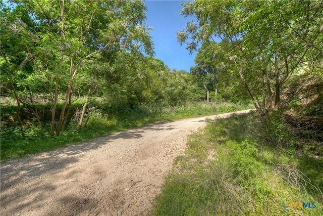 1390 Ervendberg Ave, New Braunfels, TX 78130 - photo 13