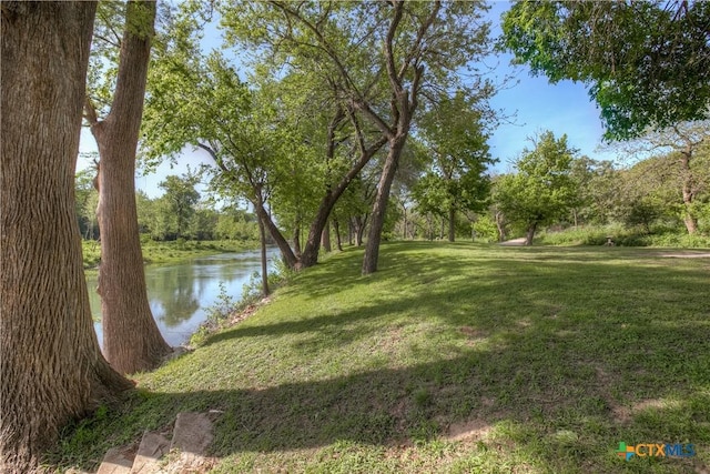 1390 Ervendberg Ave, New Braunfels, TX 78130 - photo 17
