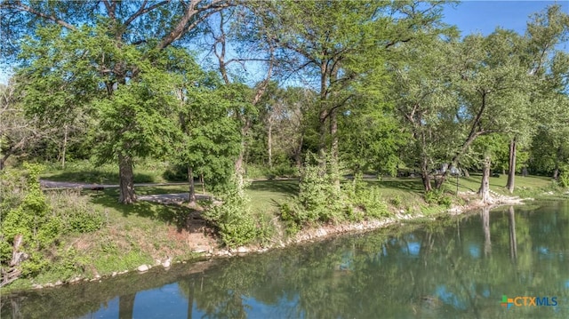 1390 Ervendberg Ave, New Braunfels, TX 78130 - photo 38