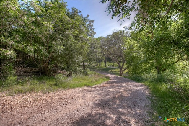 1390 Ervendberg Ave, New Braunfels, TX 78130 - photo 15