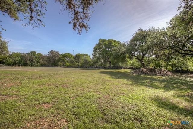 1390 Ervendberg Ave, New Braunfels, TX 78130 - photo 12