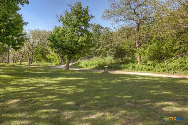 1390 Ervendberg Ave, New Braunfels, TX 78130 - photo 20
