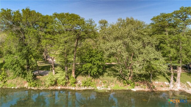 1390 Ervendberg Ave, New Braunfels, TX 78130 - photo 24