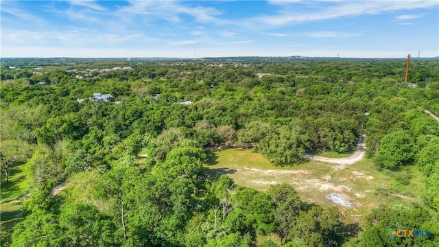 1390 Ervendberg Ave, New Braunfels, TX 78130 - photo 27