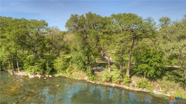 1390 Ervendberg Ave, New Braunfels, TX 78130 - photo 23