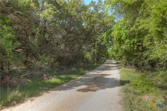 1390 Ervendberg Ave, New Braunfels, TX 78130 - photo 10