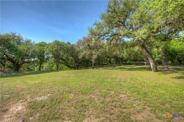 1390 Ervendberg Ave, New Braunfels, TX 78130 - photo 11