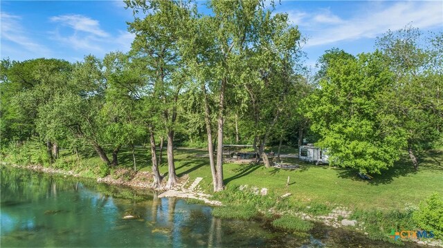 1390 Ervendberg Ave, New Braunfels, TX 78130 - photo 6