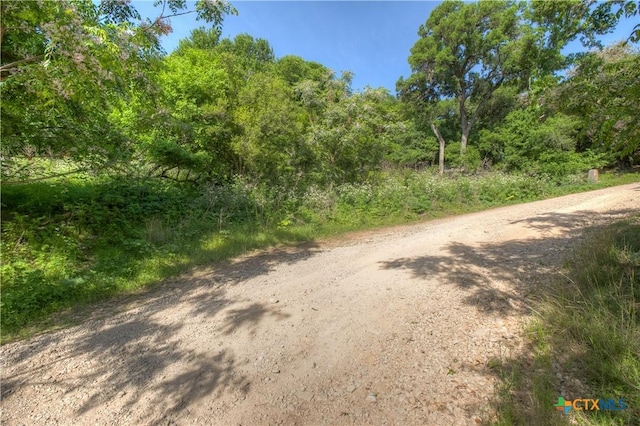 1390 Ervendberg Ave, New Braunfels, TX 78130 - photo 14