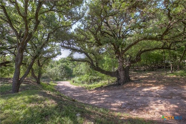 Listing photo 3 for 1390 Ervendberg Ave, New Braunfels TX 78130