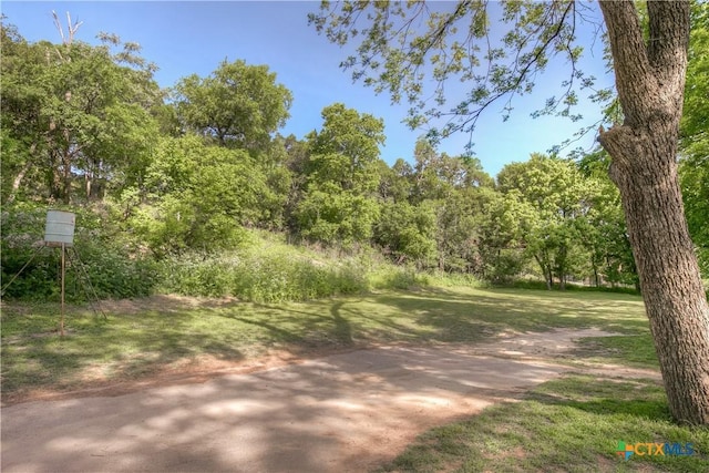 1390 Ervendberg Ave, New Braunfels, TX 78130 - photo 19
