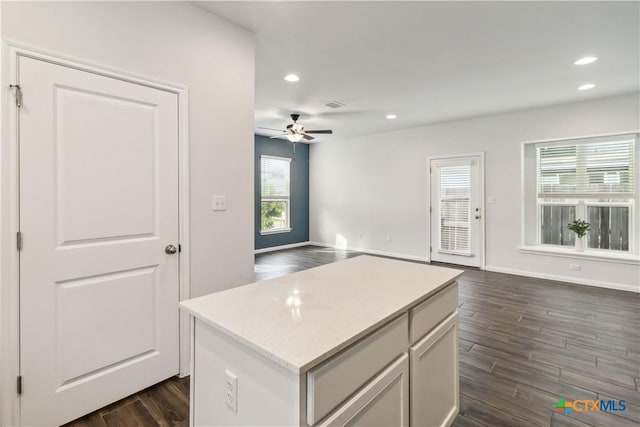310 Spiny Lizard Ln, San Marcos, TX 78666 - kitchen featuring open floor plan, a ceiling fan, dark wood finished floors, healthy amount of natural light, and recessed lighting