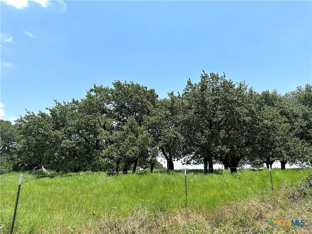 Listing photo 3 for DEERHAVENTRACT1 County Road 265, Gatesville TX 76528