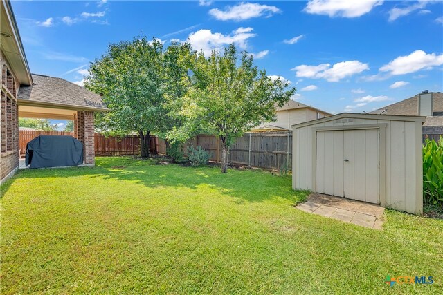 view of yard featuring a storage unit