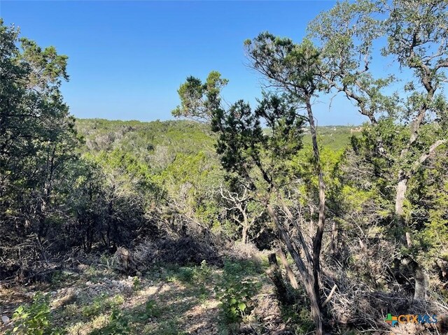 0 Happy Holw, New Braunfels, TX 78132