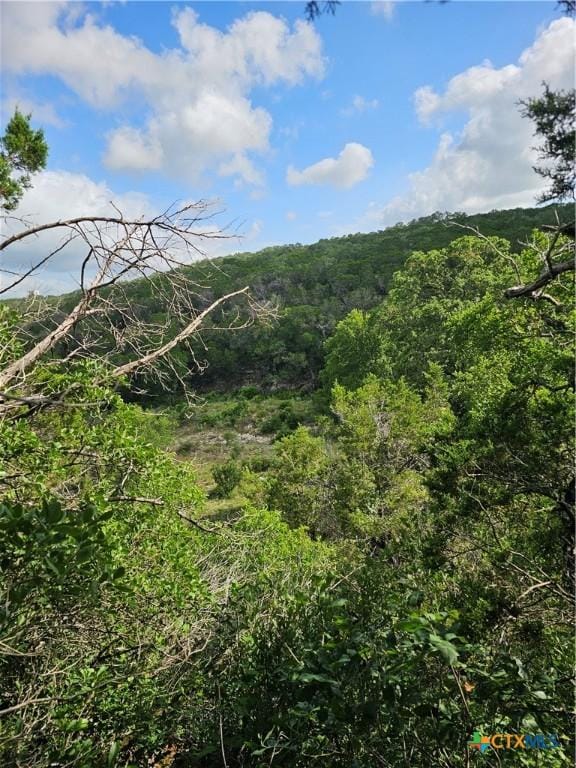 0 Happy Holw, New Braunfels, TX 78132