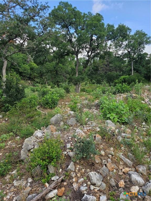 0 Happy Holw, New Braunfels, TX 78132