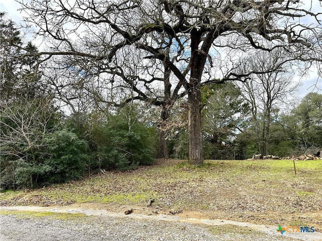 TBD Highway 71, Smithville, TX 78957