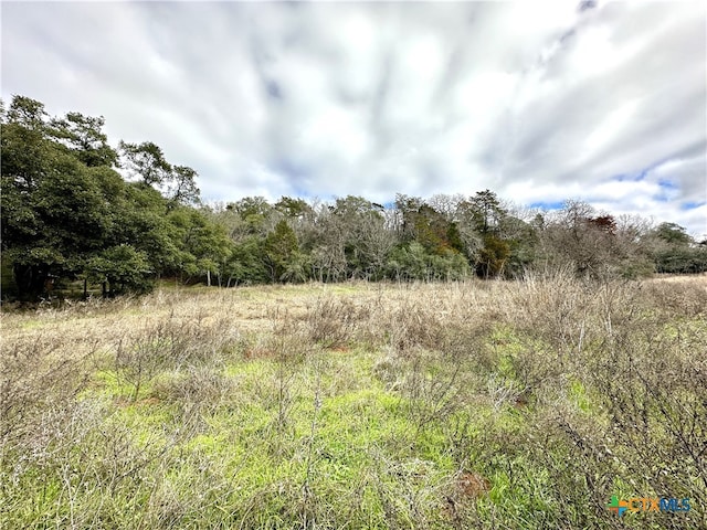 Listing photo 2 for TBD Highway 71, Smithville TX 78957