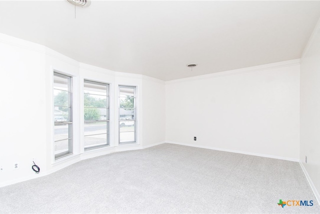 empty room featuring carpet flooring and ornamental molding