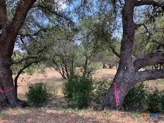 TBD Pinkerton Loop, Horseshoe Bay, TX 78657 - photo 5