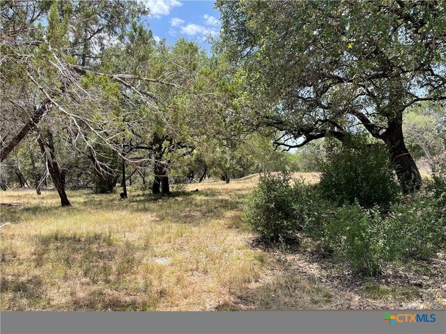 TBD Pinkerton Loop, Horseshoe Bay, TX 78657 - photo 7