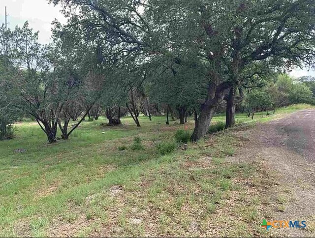 TBD Pinkerton Loop, Horseshoe Bay, TX 78657 - photo 8